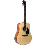 Amahi HSGT510 Dreadnought Acoustic Guitar wtih Bag