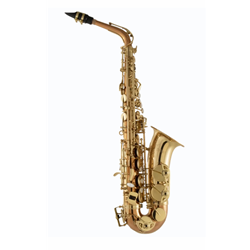 Selmer SAS511C Advanced Alto Saxophone